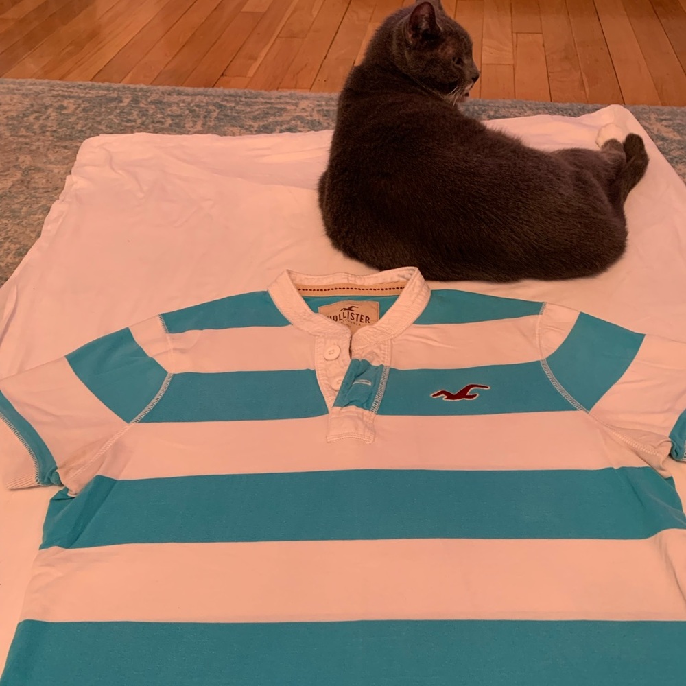 Mens Hollister all cotton T-shirt. Size XL Turquoise and white colors